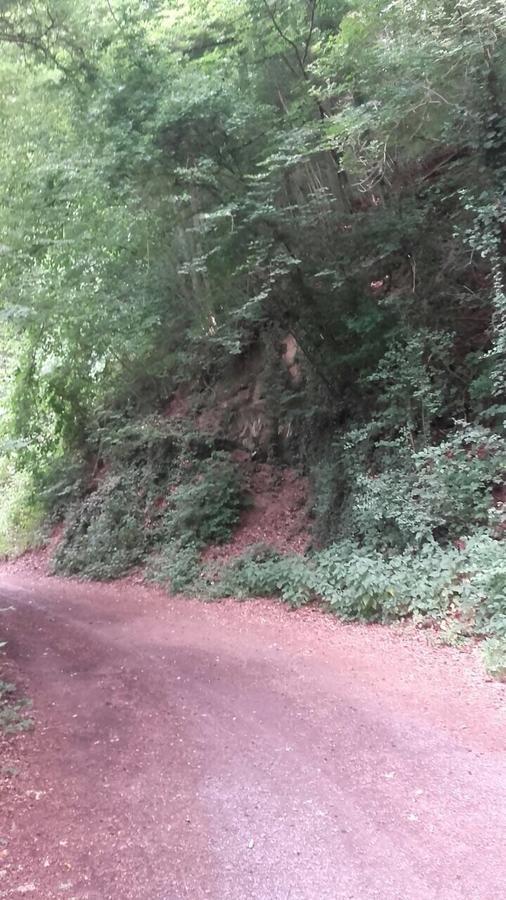 Ferienwohnungen "Am Fuerstenweg" Neuwied Esterno foto