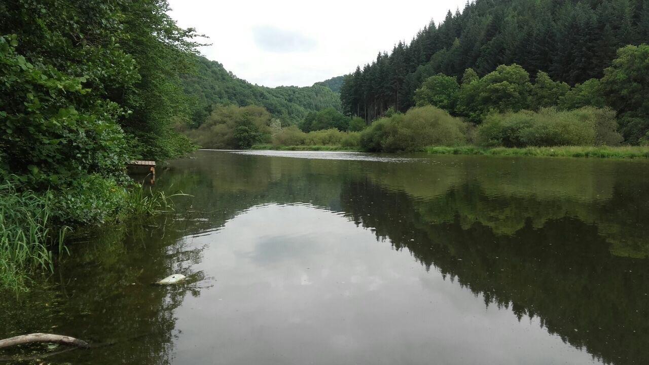 Ferienwohnungen "Am Fuerstenweg" Neuwied Esterno foto