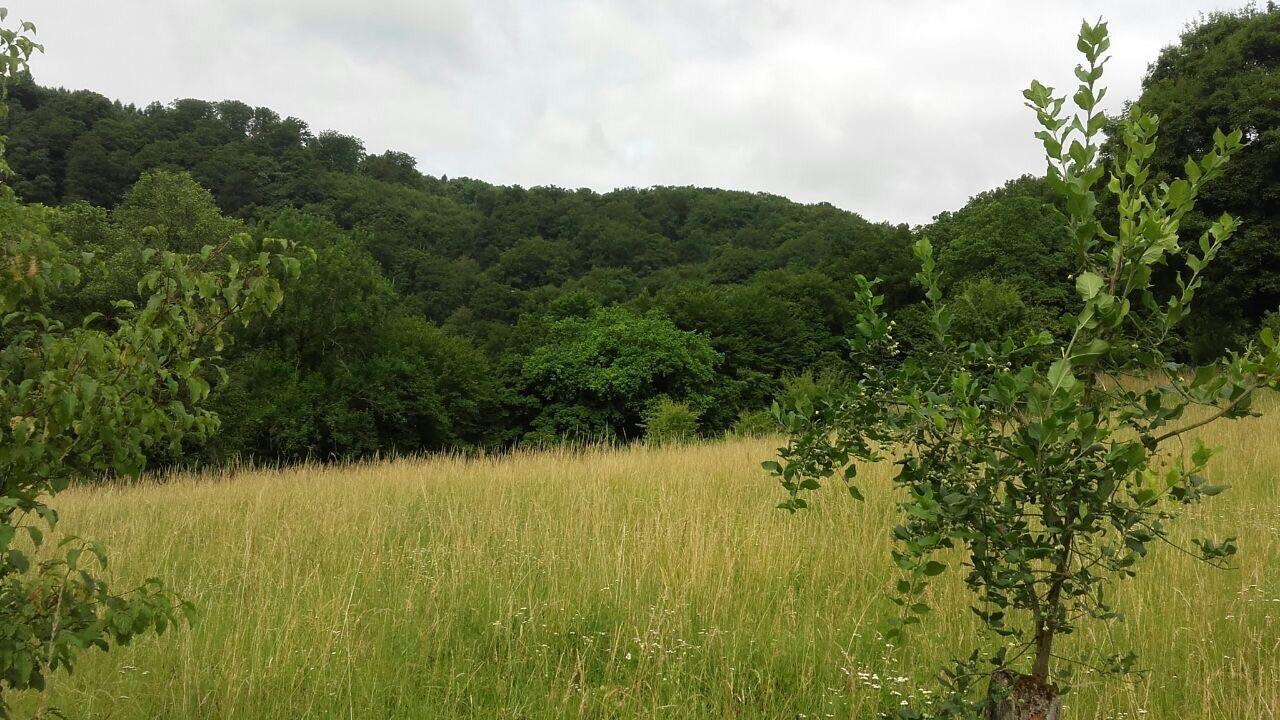 Ferienwohnungen "Am Fuerstenweg" Neuwied Esterno foto